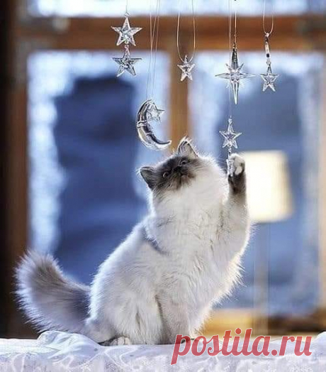 КАК МАЛО СМЫСЛА В МЕЛОЧАХ, КАК МНОГО В НИХ ТЕПЛА...❄⭐❄⭐❄⭐❄⭐❄