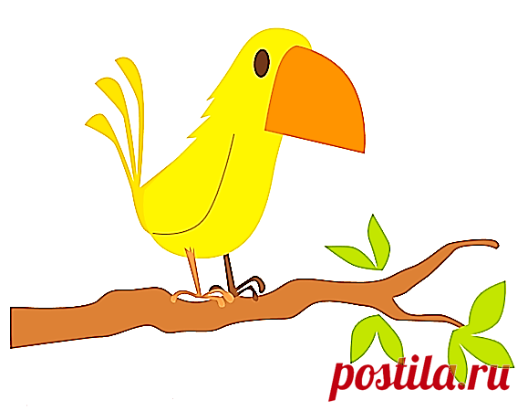 Gallery -Treetop Displays - EYFS, KS1, KS2 classroom display and primary teaching aid resource