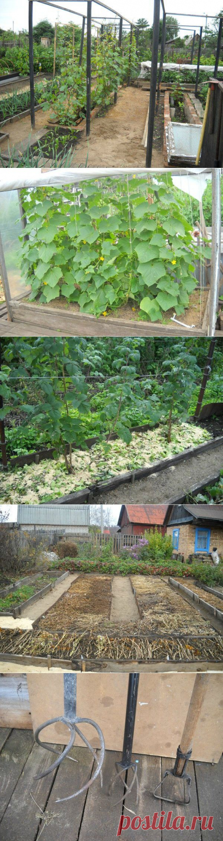 Советы опытной огородницы — 6 соток