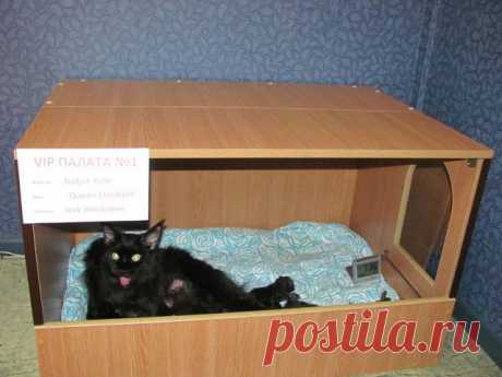 (69) Одноклассники