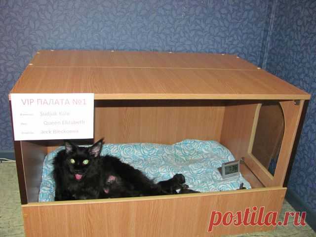 (69) Одноклассники
