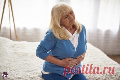 6 заболеваний, которые я научилась определять по запаху мочи. Делюсь опытом | Красивое здоровье | Яндекс Дзен