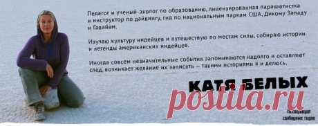 Сказка индейцев апачей: «О мухе и смысле жизни» / Репортажи / Моя Планета