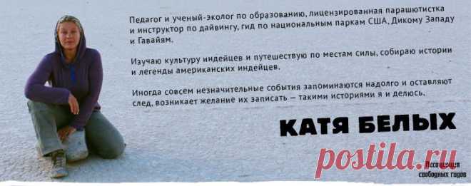 Сказка индейцев апачей: «О мухе и смысле жизни» / Репортажи / Моя Планета