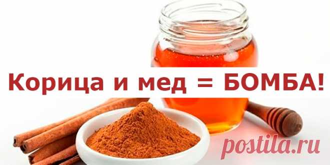 Корица и мед = БОМБА | Полезные советы