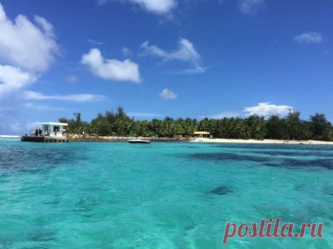 FaktoDrom.com | Познавательная энциклопедия фактов