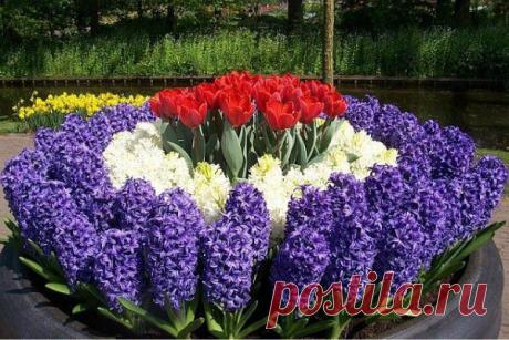 Мой Мир@Mail.Ru