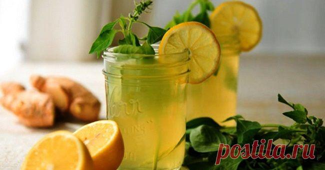 Домашнее имбирное пиво — хмельное лечение от многих недугов