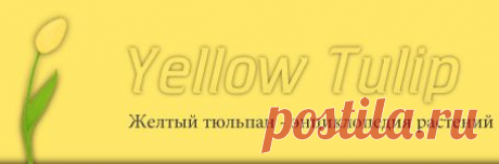 Драба или Крупка – Draba « Yellow Tulip – энциклопедия растений