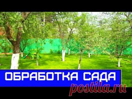 Гремучая смесь для весеннего опрыскивания деревьев сада