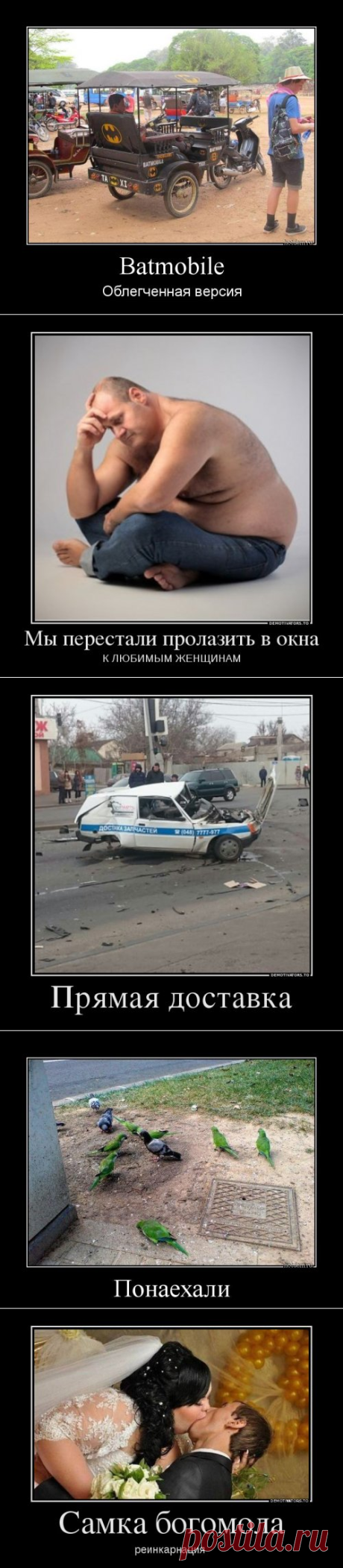 Новые демотиваторы (21 шт)