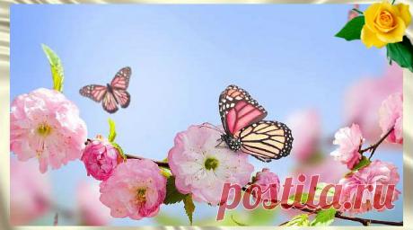 Медитация для восстановления связи с Душой &amp;#8212; Калейдоскоп чудес