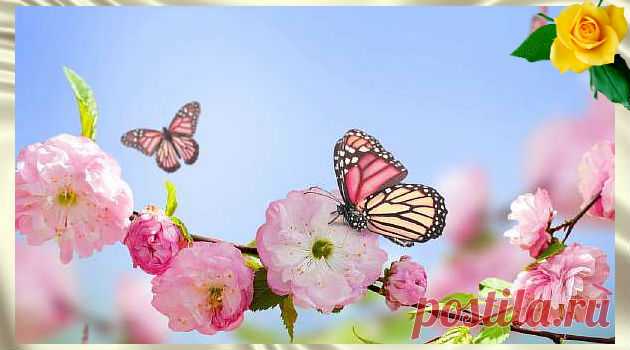 Медитация для восстановления связи с Душой &#8212; Калейдоскоп чудес