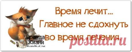 Фото Без названия. Альбом Фото группы - 50 фото. Фотографии Копилочка: все самое интересное,полезное, красивое!!!.