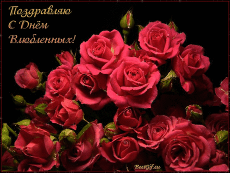 С днём святого Валентина
Поздравляю тебя, милый!
Нежности, любви, внимания,
Заботы, счастья, понимания!