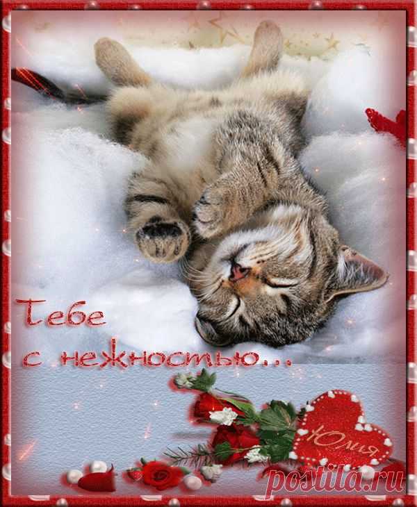 0_142699_169455a0_orig (600×730)