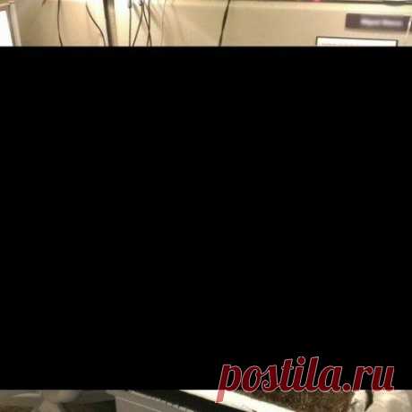 Подшутили над рабочим местом коллеги (7 фото)