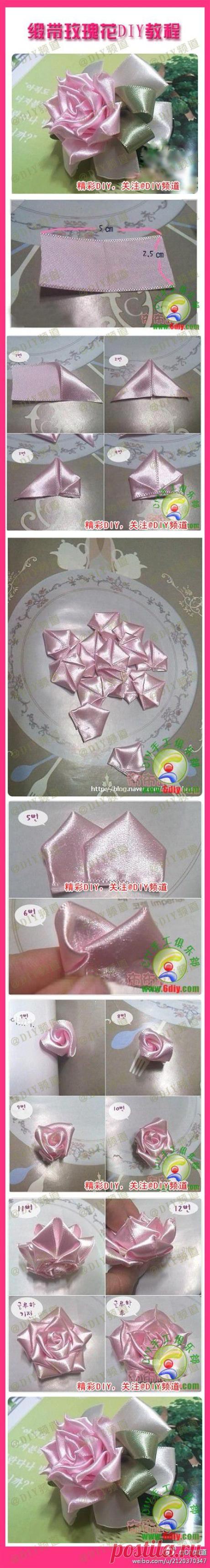 [Ribbon розы ...... _ изображения из памяти Qingjiang акцию - куча сахара