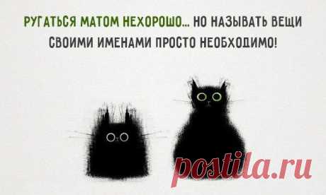 Позитивные советы / Писец - приколы интернета