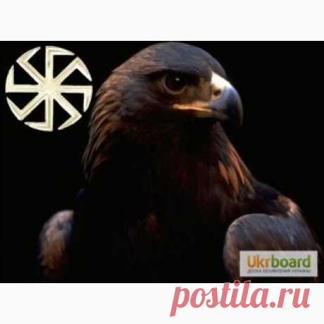 Частный маклер, Николаев — Ukrboard