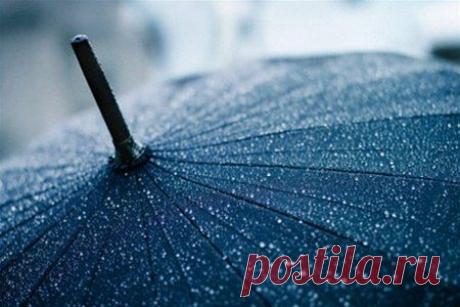 "Золотое правило жизни: не переживай из-за того, что ты не в силах изменить, прими ситуацию такой, какая она есть. Ведь мы не пытаемся изменить погоду, а просто одеваемся по погоде."