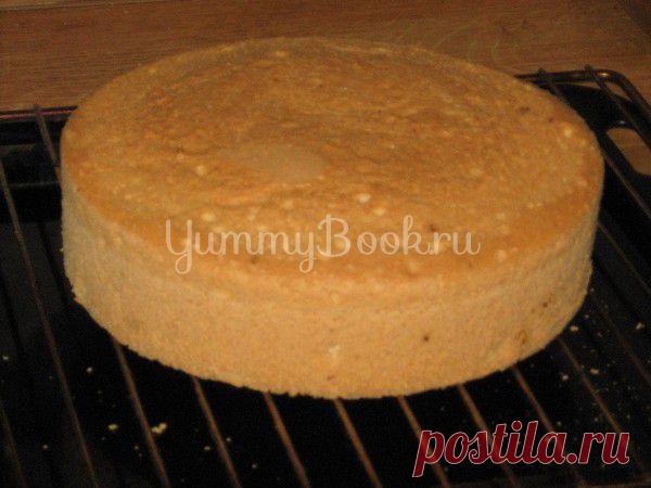 Бисквит для тортов за 30 мин - пошаговый рецепт с фото