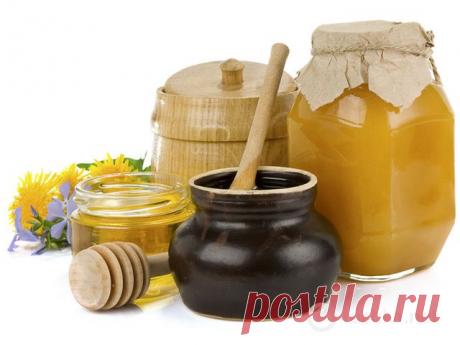Варенье из одуванчиков: приготовь душистый одуванчиковый мед - tochka.net