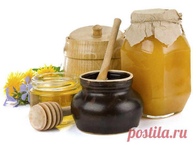 Варенье из одуванчиков: приготовь душистый одуванчиковый мед - tochka.net