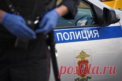 Российская школьница сбросила щенка с двадцатого этажа. В Челябинске школьница сбросила живого щенка с высоты двадцатого этажа. Местные жители предполагают, что к убийству животного может быть причастна 14-летняя школьница, которую ранее уже подозревали в жестоком убийстве и расчленении котенка. Полиция уже начала проверку по факту инцидента