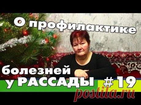 Профилактика болезней у рассады. Когда нужно делать🌱