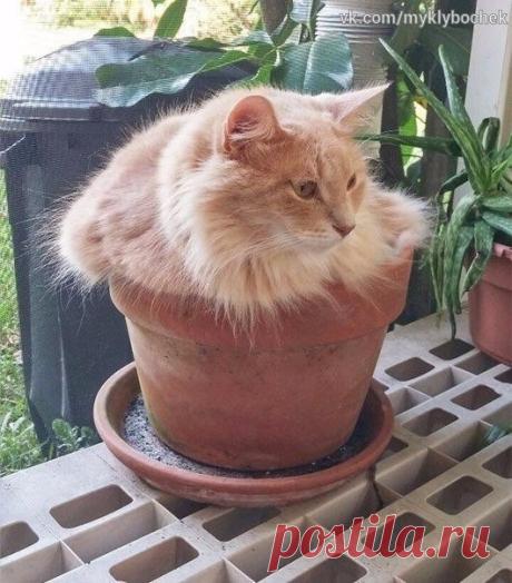 КЛУБОЧЕК - вязание рукоделие