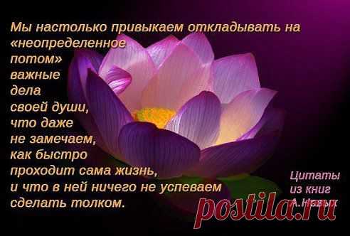 http://sensei.org.ua/