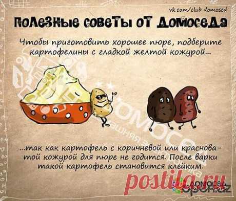 Советы на каждый день