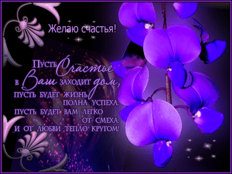 Желаю счастья - вот и всё! - Плейкасты