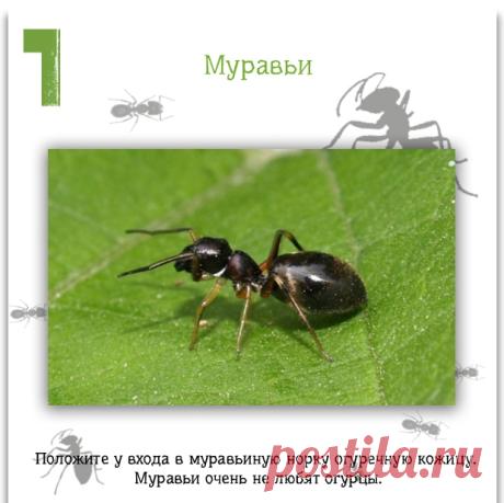 Хорошие советы..