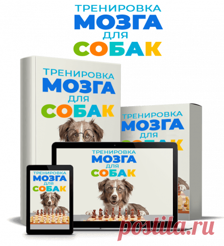 для собак" --- Курс "Тренировка мозга