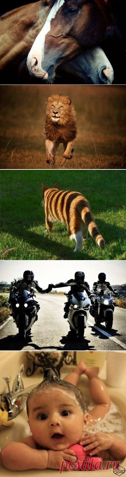 OK.RU