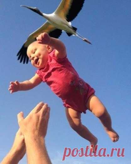 В СССР секса не было, но в каждой семье было по 2-4 ребёнака. Сейчас секс есть. Но практически в каждой семье по одному ребёнку. Вывод: дети появляются не от секса. Всё-таки аисты... / Новые дети