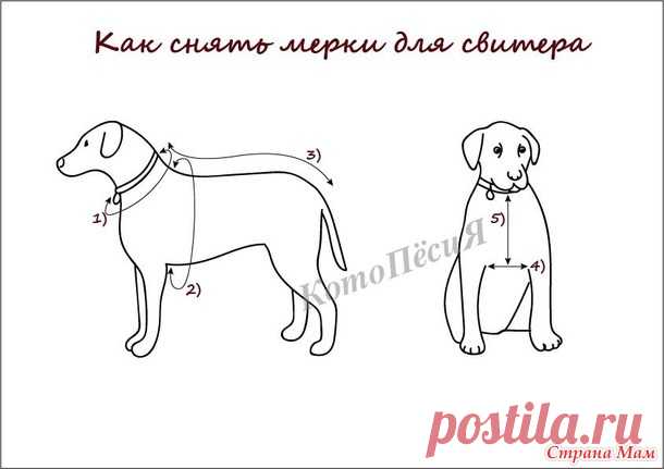 . Свитер для мопса в духе Слизерин - Вязание - Страна Мам