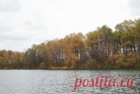 Прощание с осенью Вячеслав Михайлов, г. Калуга Последний день осени порадовал неплохой погодой. К обеду засветило солнышко, ветра почти не было, и плюсовая температура. Ну разве можно усидеть дома? Конечно, нет. И уже в пятнадцать двадцать стоял на берегу потемневшей в ожидании зимы Волги...