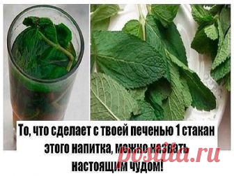 То, что сделает с твоей печенью 1 стакан этого напитка, можно назвать настоящим чудом! Если печень перегружена или плохо работает, мы сразу же это чувствуем. Слабость,...