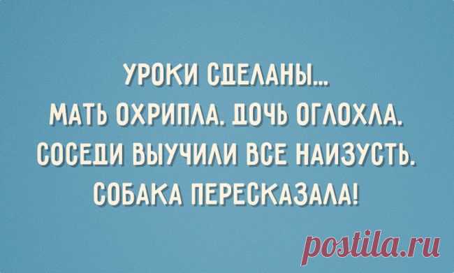 Уроки сделаны... Мать охрила. Дочь оглохла. Соседи выучили все наизусть. Собака пересказала!