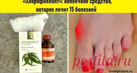 Хлорофиллипт: копеечное средство, которое лечит 15 болезней