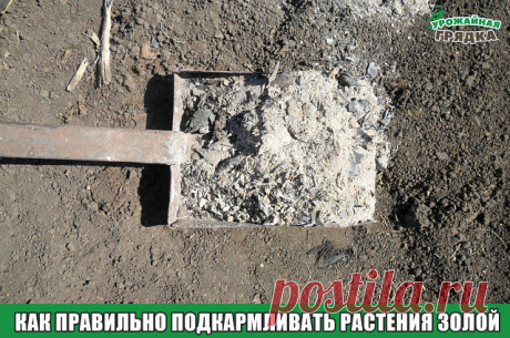 3 непрочитанных чата
