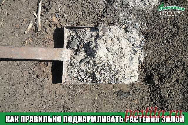 3 непрочитанных чата