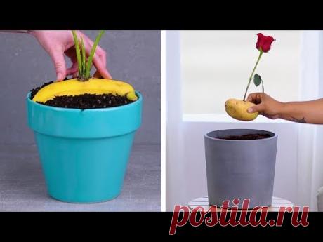 12 Indoor Gardening Hacks That Make You Throw Your Hands up and Sprout!