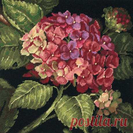 Amazon.com: Dimensions Needlecrafts Needlepoint by Kathryn White, Hydrangea Bloom