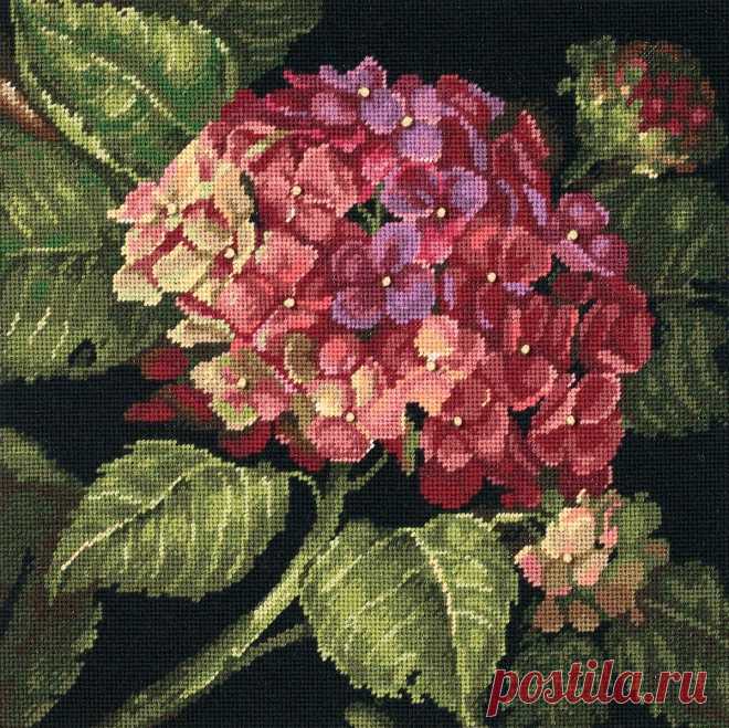 Amazon.com: Dimensions Needlecrafts Needlepoint by Kathryn White, Hydrangea Bloom