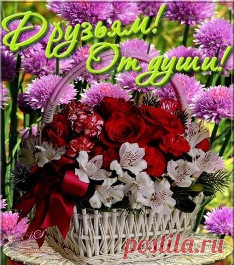 КРАСИВЫЕ КОЛЛАЖИ !