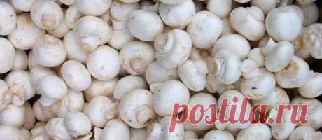 Вкусные маринованные шампиньоны. Простой и быстрый рецепт!